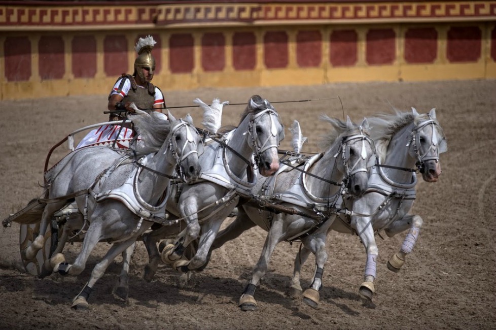 chariot races rome